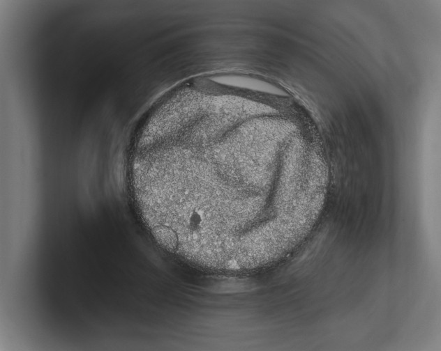 X0000102310347200808221451