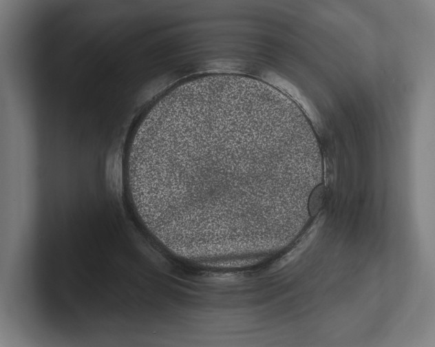 X0000102310349200808221451