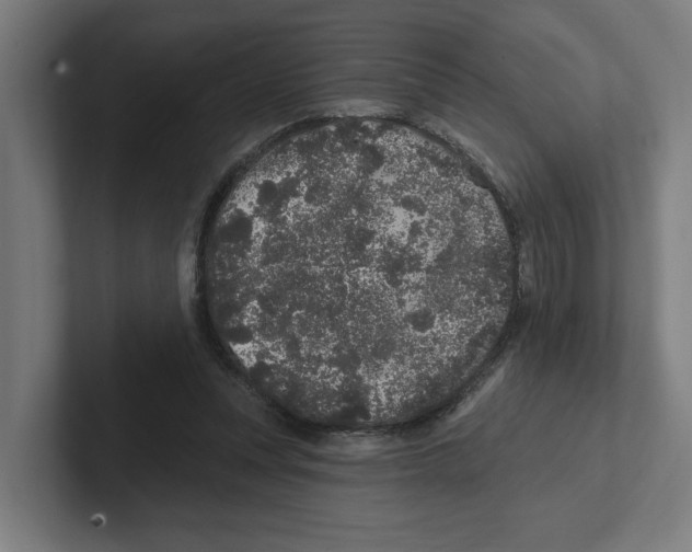 X0000102310351200808221451