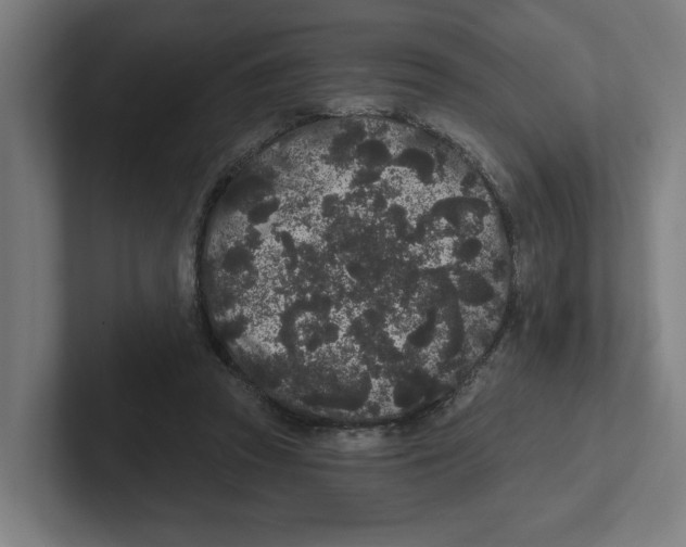 X0000102310353200808221451