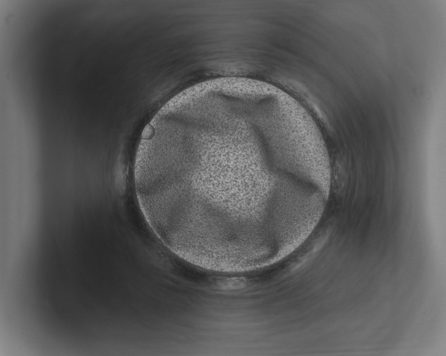 X0000102310355200808221451