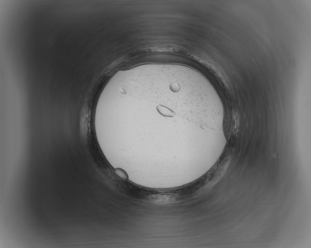 X0000102310356200808221451