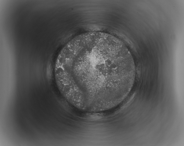 X0000102310359200808221451