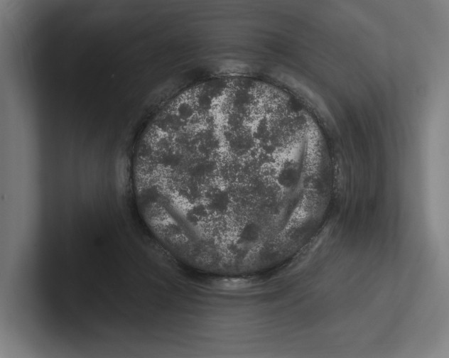X0000102310361200808221451