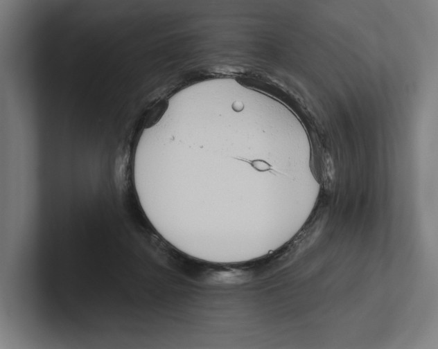 X0000102310364200808221451