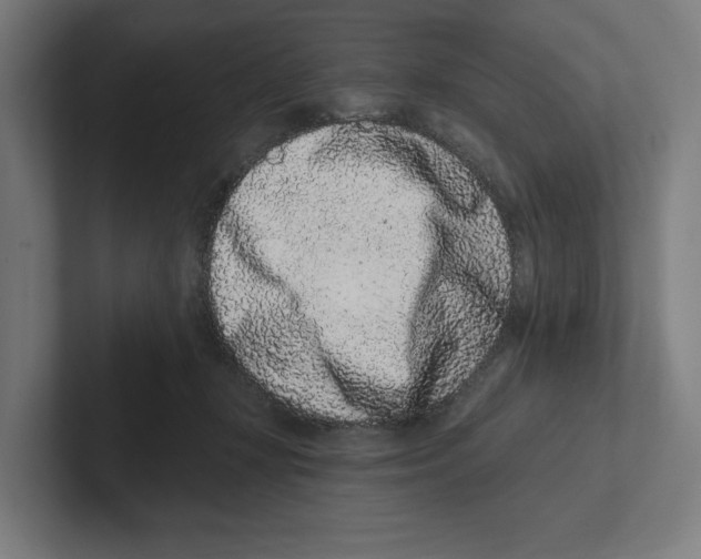 X0000102310367200808221451