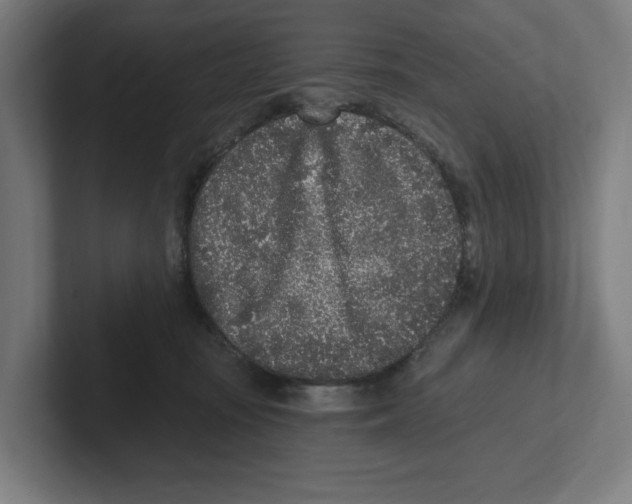 X0000102310371200808221451