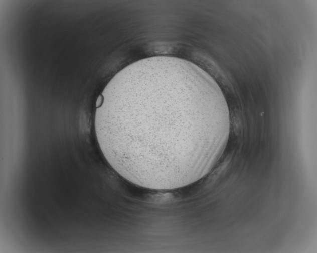 X0000102310374200808221451