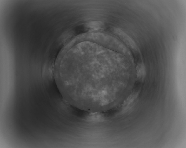 X0000102310376200808221451