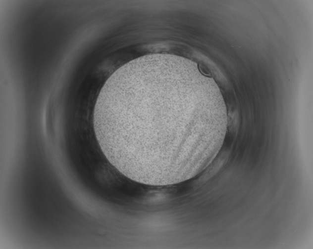 X0000102310381200808221451