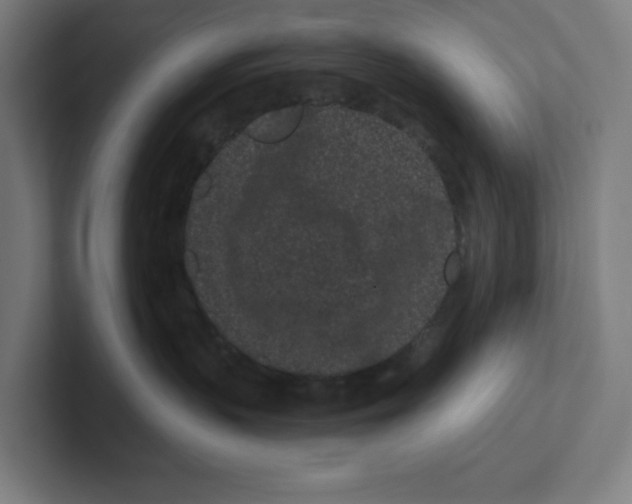 X0000102310383200808221451