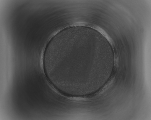 X0000102310389200808221450