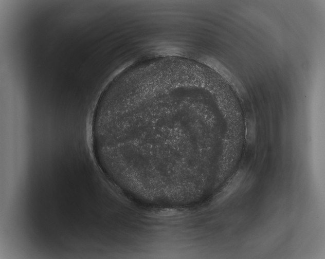 X0000102310390200808221450