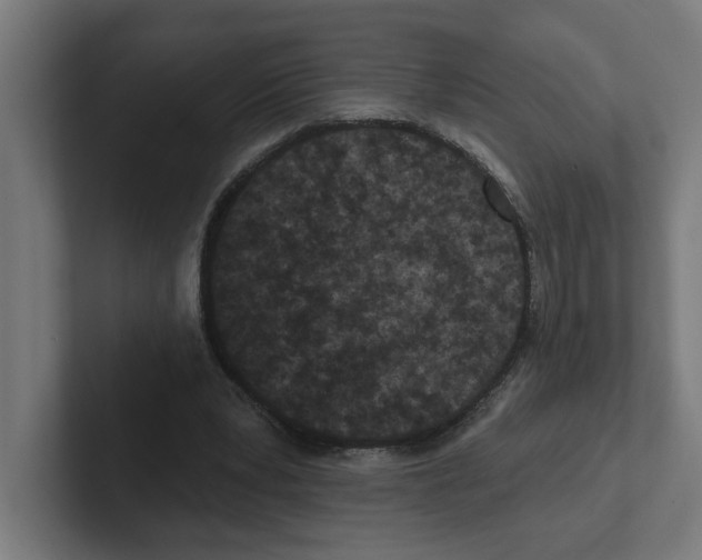X0000102310391200808221450