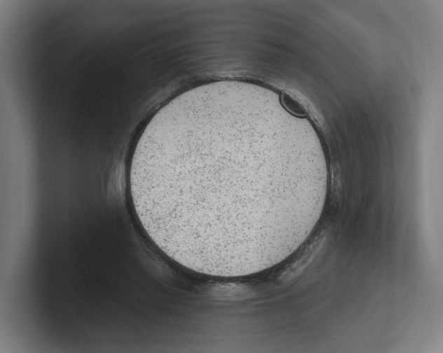 X0000102310397200808221450