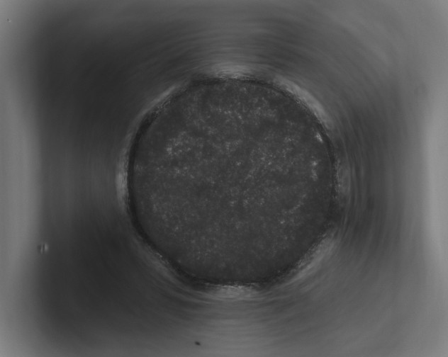 X0000102310399200808221450