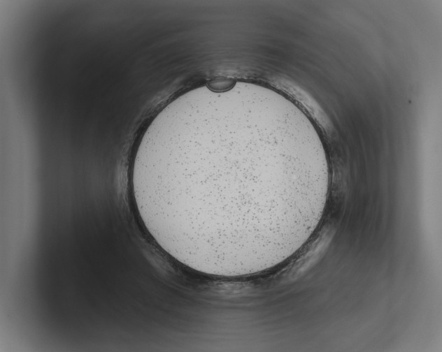 X0000102310401200808221450