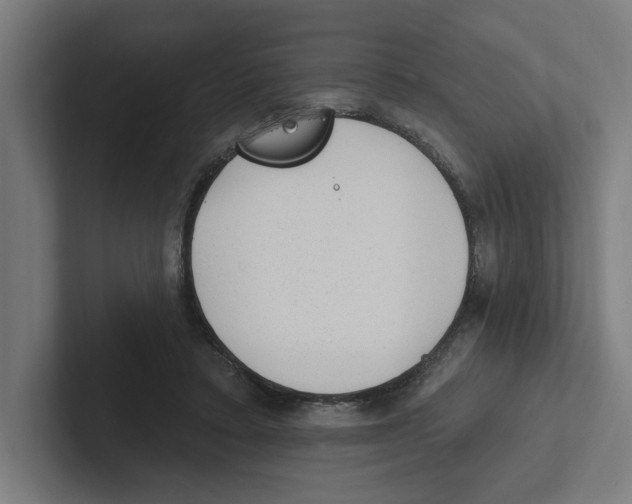 X0000102310403200808221450
