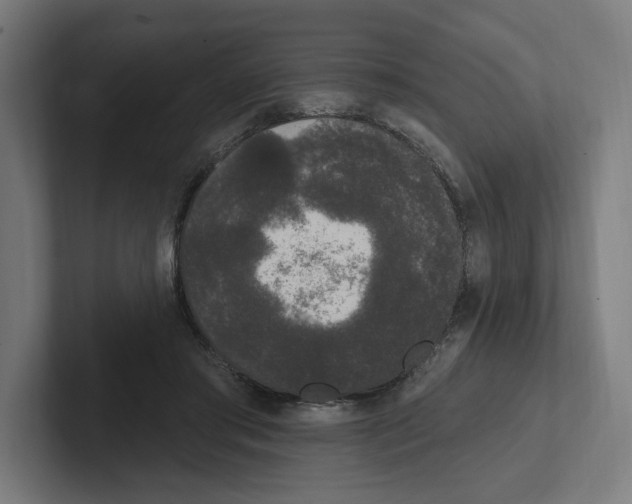 X0000102310405200808221450