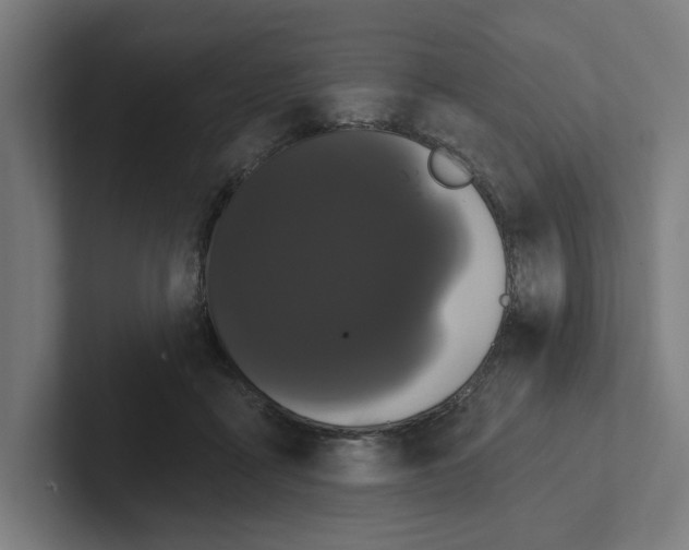 X0000102310411200808221450
