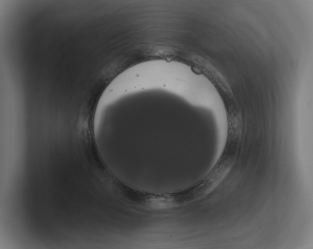 X0000102310415200808221450