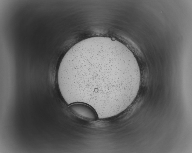 X0000102310417200808221450
