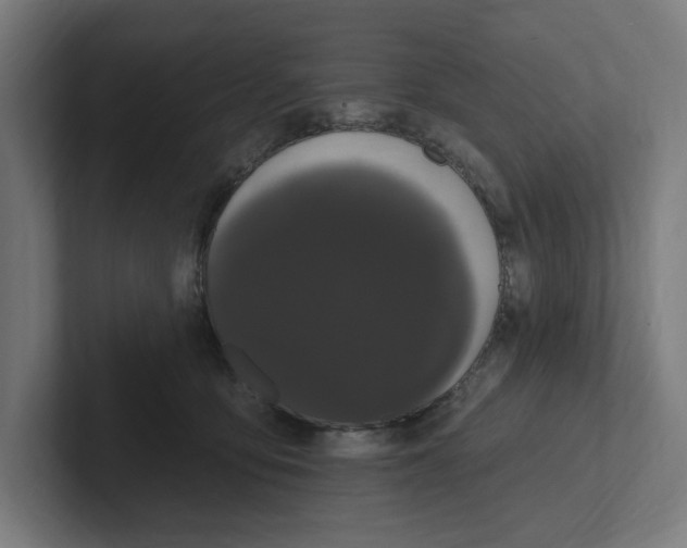 X0000102310419200808221450