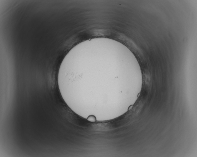 X0000102310422200808221450