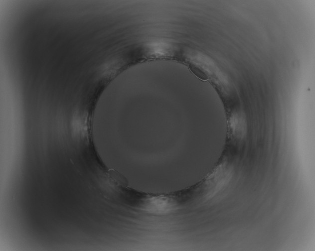 X0000102310423200808221450