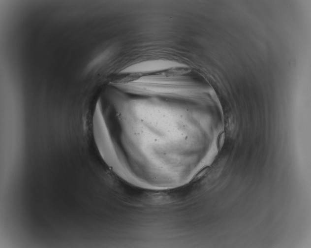 X0000102310424200808221450