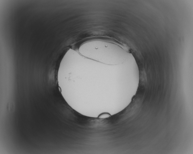 X0000102310428200808221450