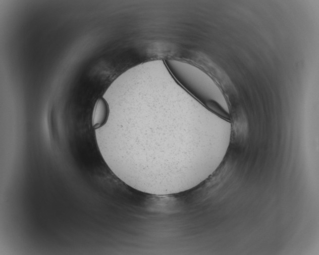 X0000102310429200808221450