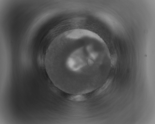 X0000102310431200808221450