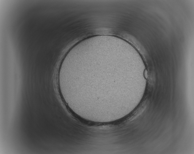 X0000102310433200808221449