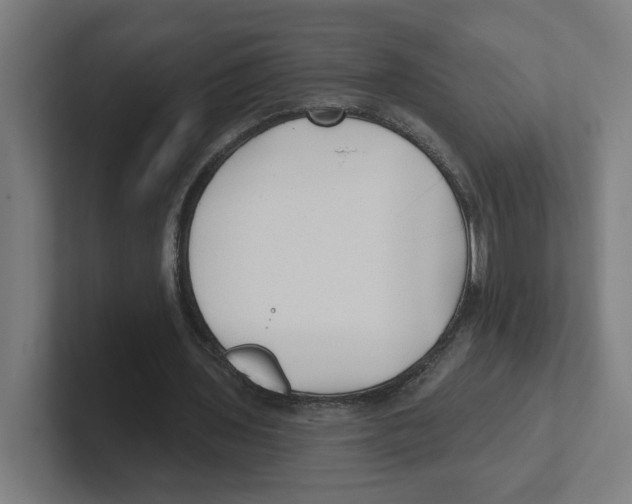 X0000102310435200808221449