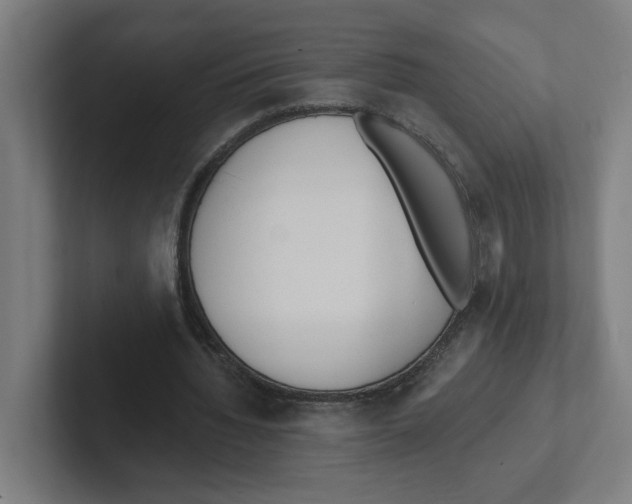 X0000102310436200808221449