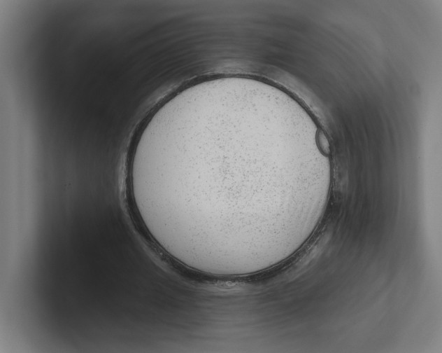 X0000102310437200808221449