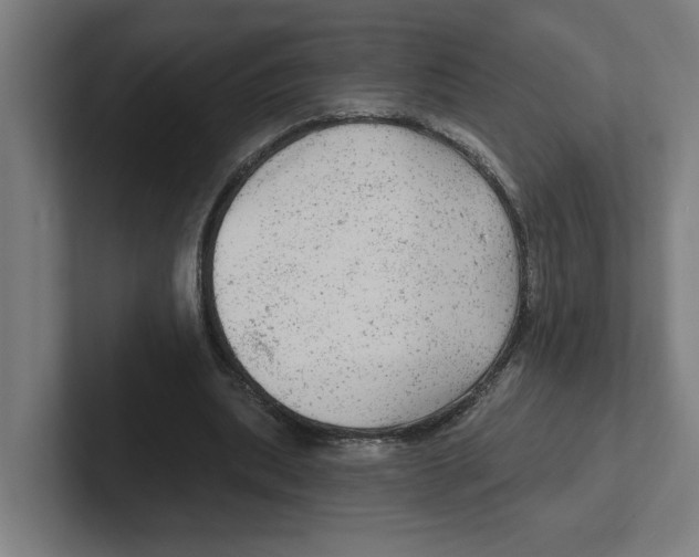 X0000102310439200808221449