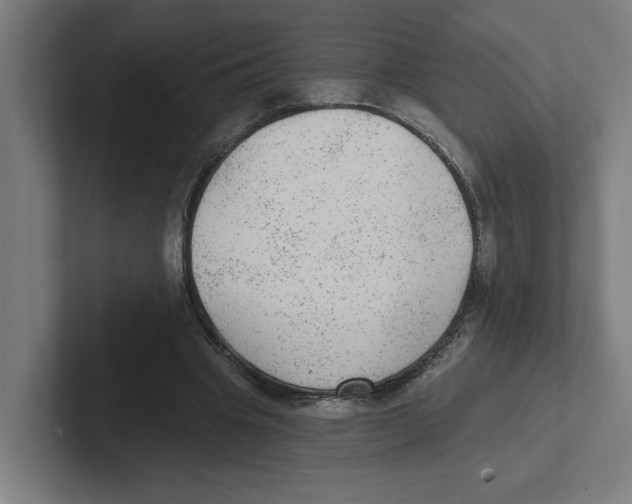 X0000102310441200808221449
