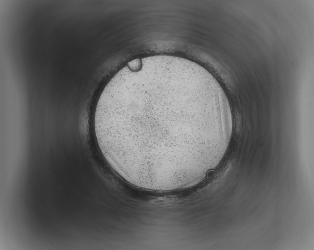 X0000102310447200808221449
