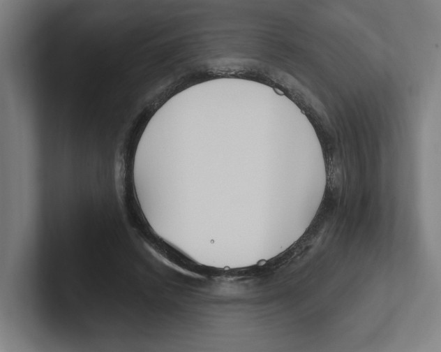 X0000102310448200808221449