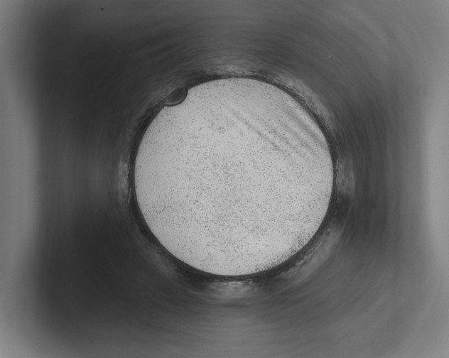 X0000102310449200808221449