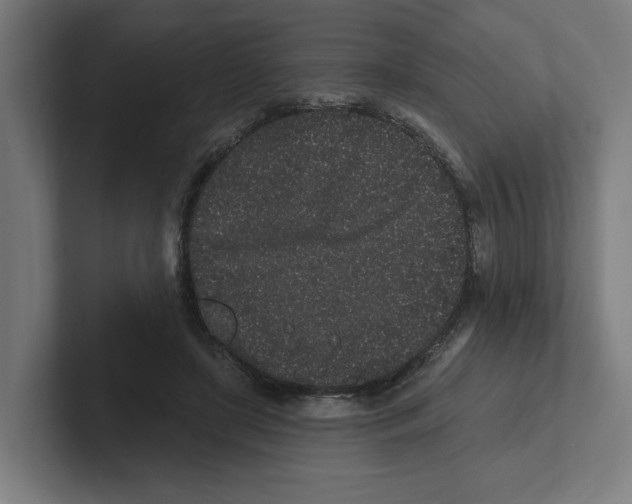 X0000102310451200808221449