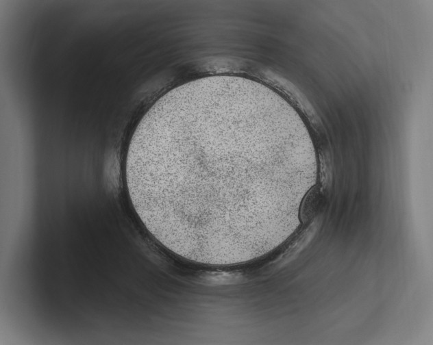 X0000102310453200808221450