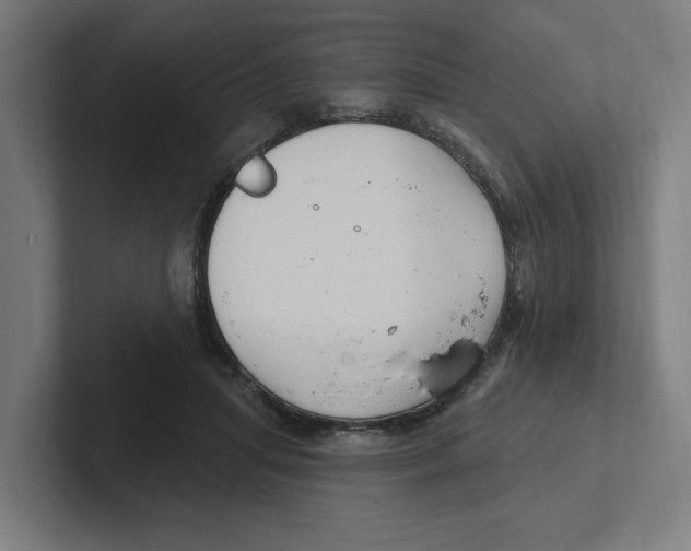 X0000102310455200808221450