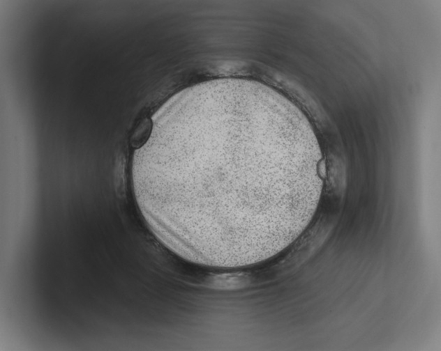 X0000102310461200808221450