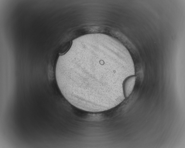X0000102310469200808221450