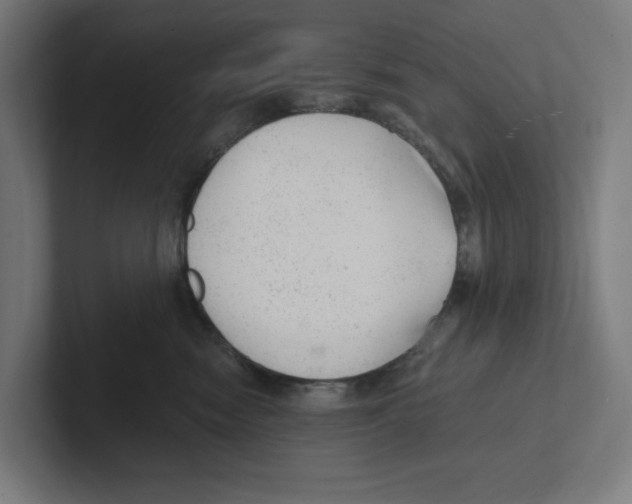 X0000102310474200808221450