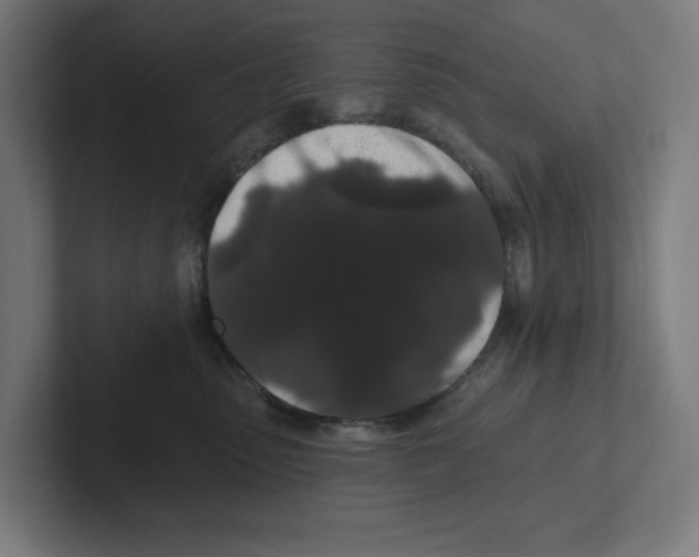 X0000102310475200808221450