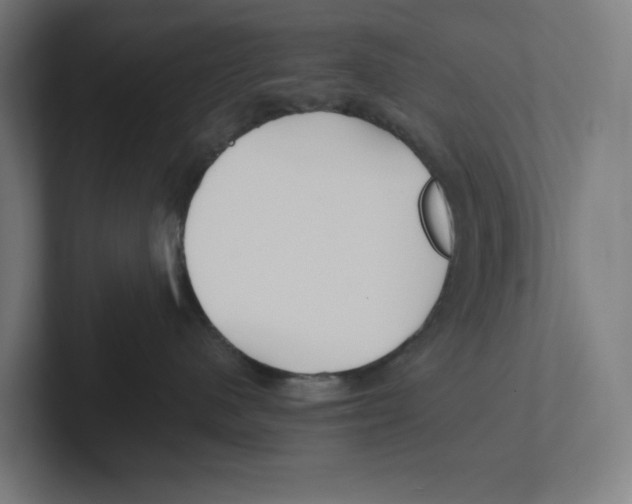 X0000102310480200808221450